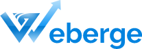 Search Engine Optimization Services | Professional SEO Services, India